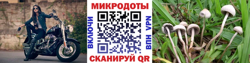 Купить где  Салехард  Галлюциногенные грибы GOLDEN TEACHER 